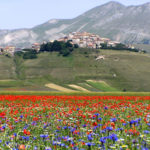 visita-guidata-LA-FIORITA-DI-CASTELLUCCIO