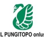 Pungitopo